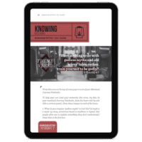 Manhood Myths 1 on 1 and Group Studies Combo (Digital) - Image 3