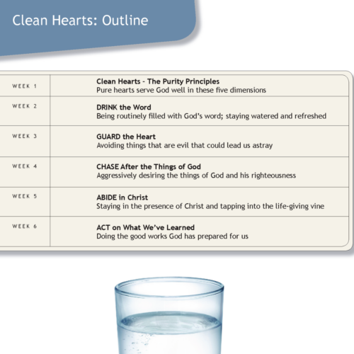 Clean Hearts Module [Trail Life]