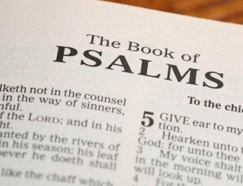 5 Psalm-Based Prayers for Protection