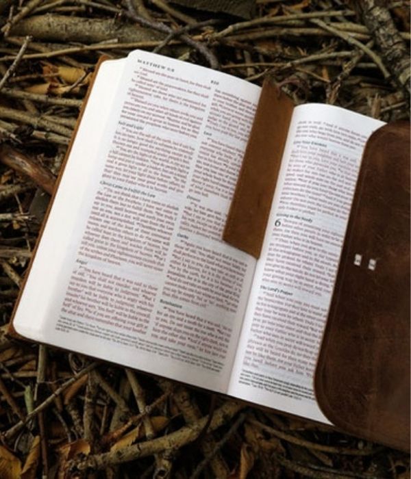 Open Bible lying on the grass