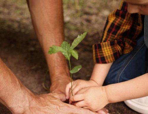 5 Bible Verses Every Father Should Live By