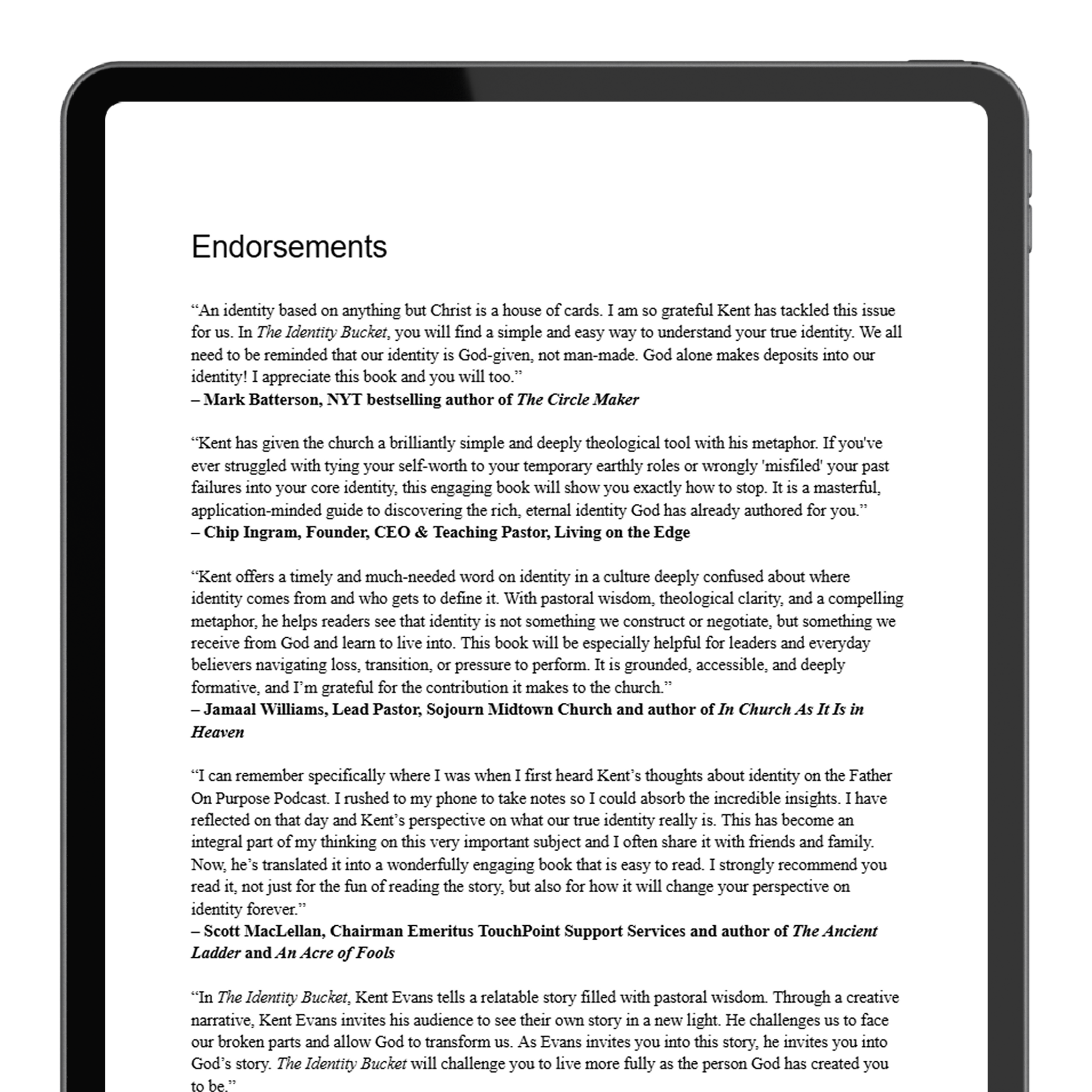 The Identity Bucket – Endorsements List iPad Mockup